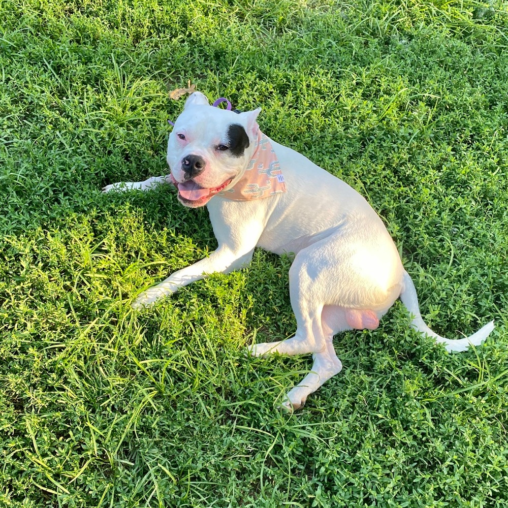 Meet your Posher, Ashley